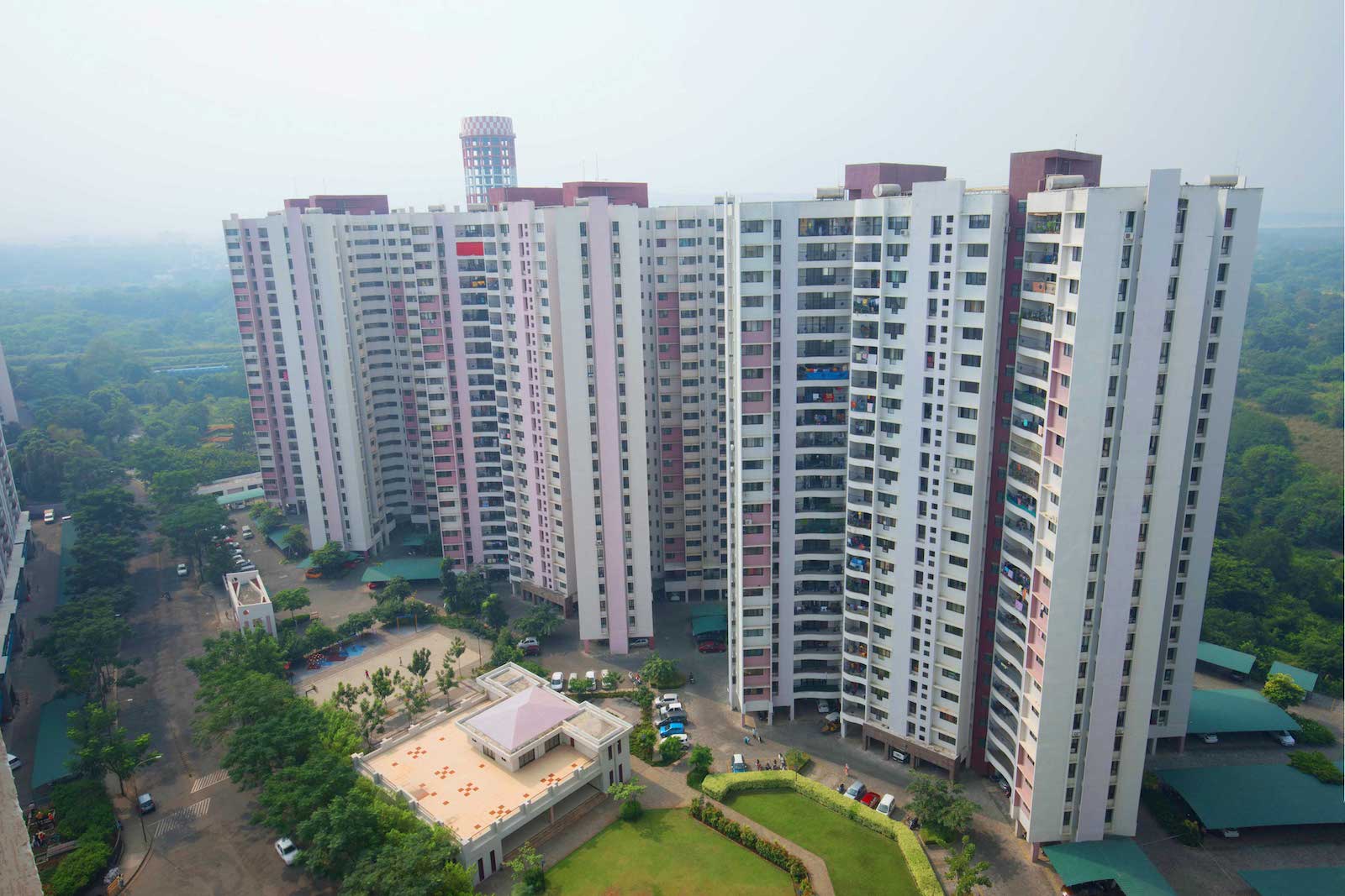 A.M. ROYAL FRUIT CO.