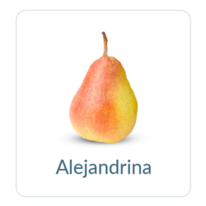 Alejandrina Pears