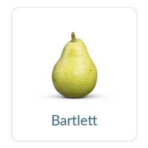 Bartlett Pears