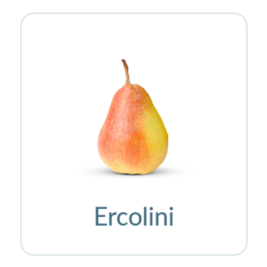 Ercolini Pears