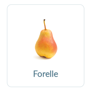Forelle Pears