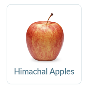 Himachal Apples