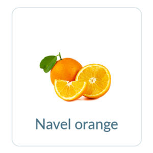 Navel Orange