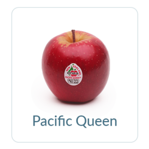 Pacific Queen
