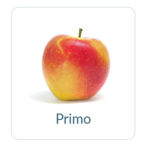 Primo