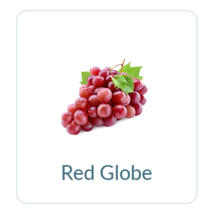 Red Globe