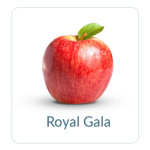 Royal Gala