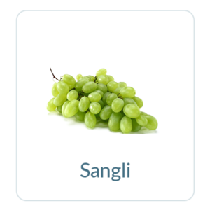 Sangli Grapes