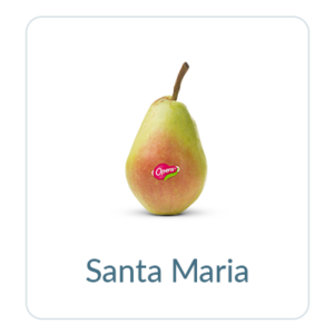 Santa Maria Pears