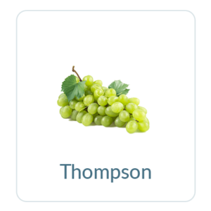 Thompson Grapes