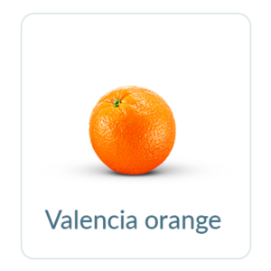 Valencia Orange
