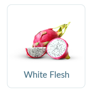 White Flesh Dragon Fruit